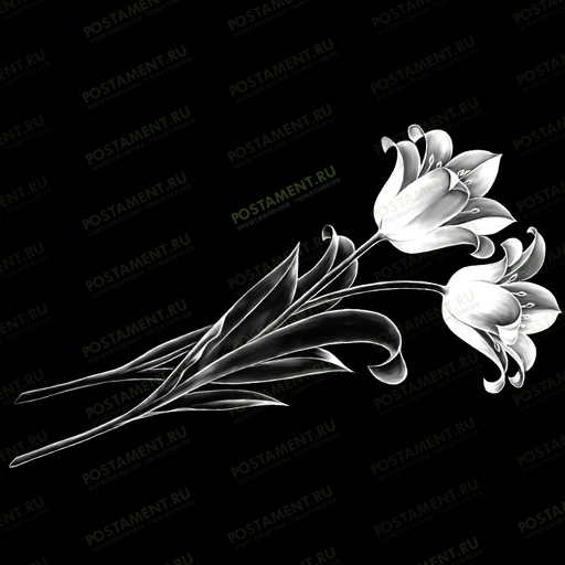 Картинка с лилиями на памятник 91031