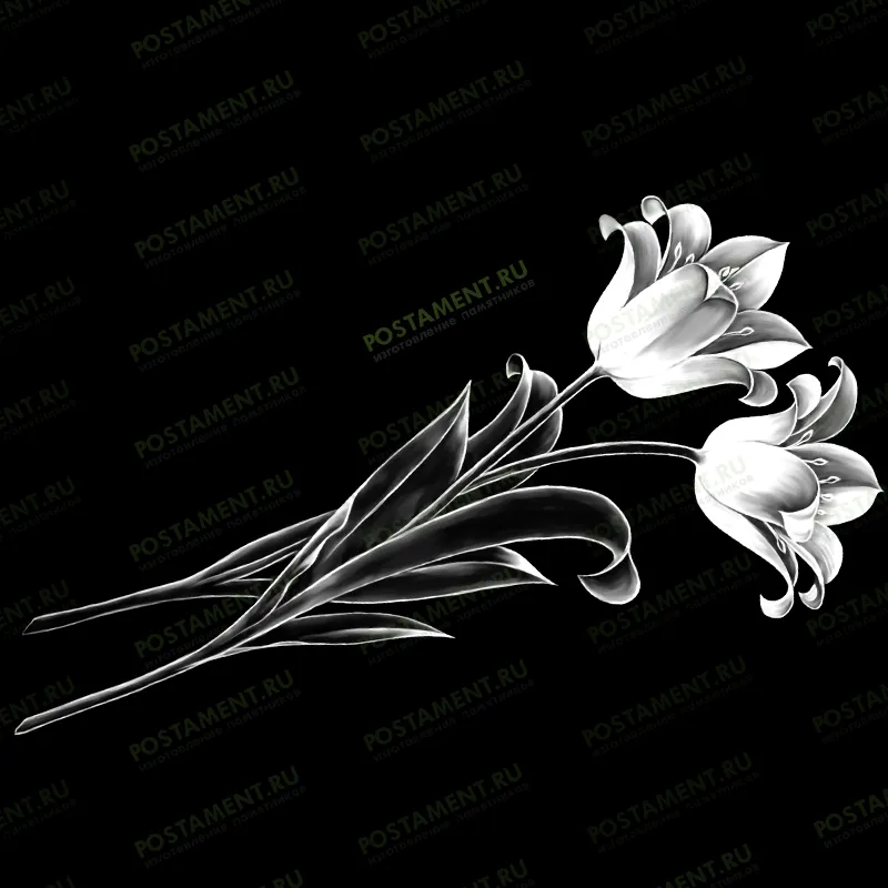 Картинка с лилиями на памятник 91031
