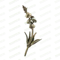 Лаванда 82037