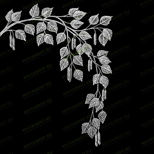 Вета березы для обрамления памятника 95014