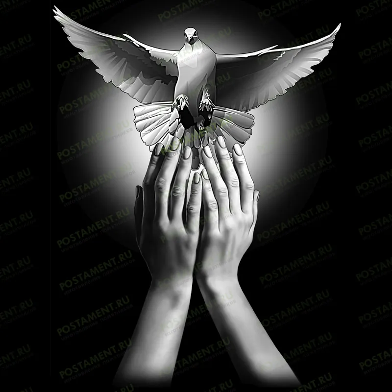 оформление на памятник голубь в руках 91152