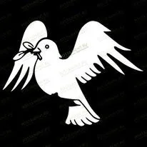 Голубь 91101
