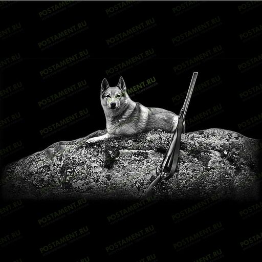 оформления памятника охотнику собака 91132