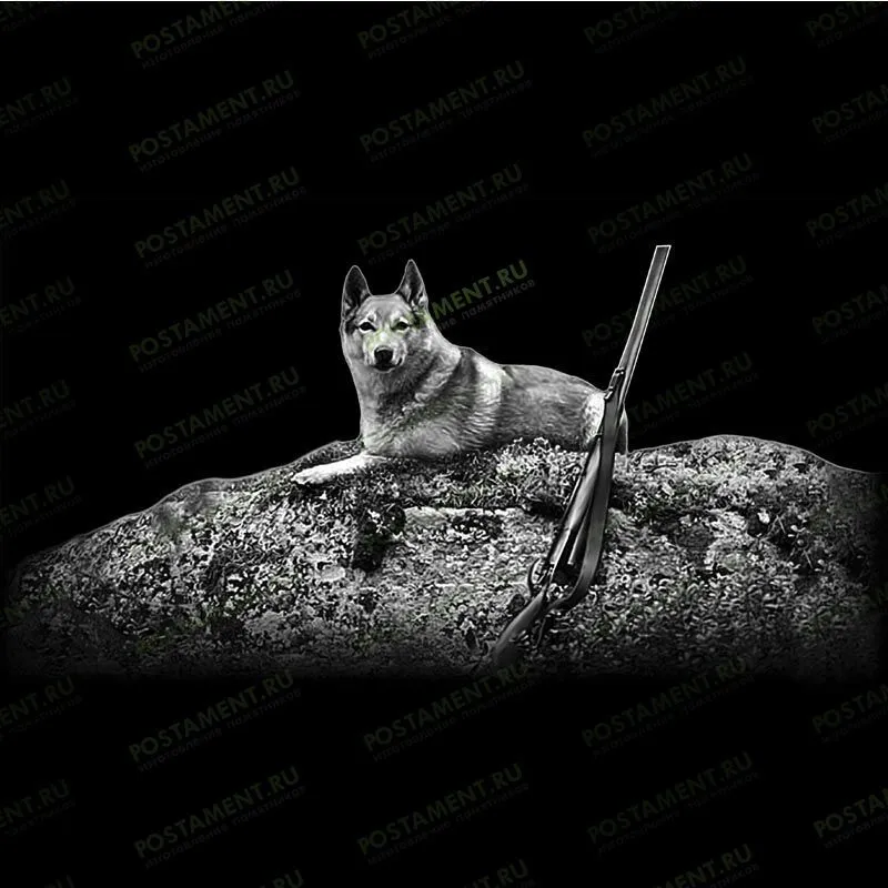 оформления памятника охотнику собака 91132