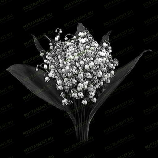 Ландыши на памятник гравировка 91044