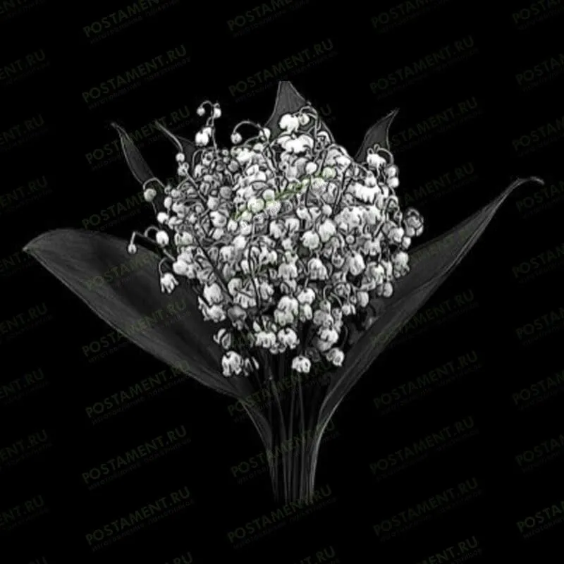 Ландыши на памятник гравировка 91044