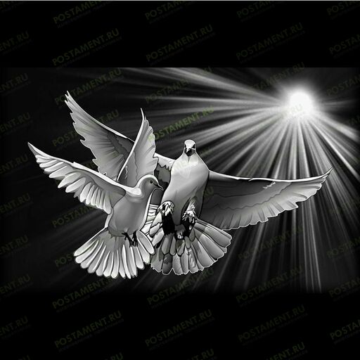 Два голубя для семейного памятника 91116