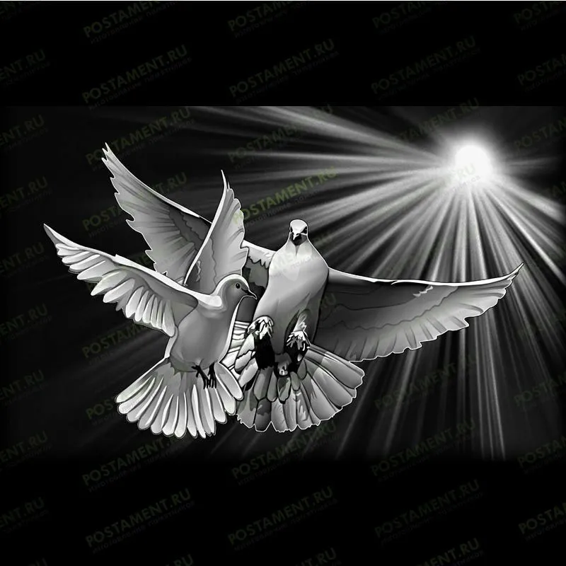 Два голубя для семейного памятника 91116