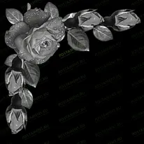 Виньетка с розой 96049