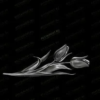 Тюльпаны 91029