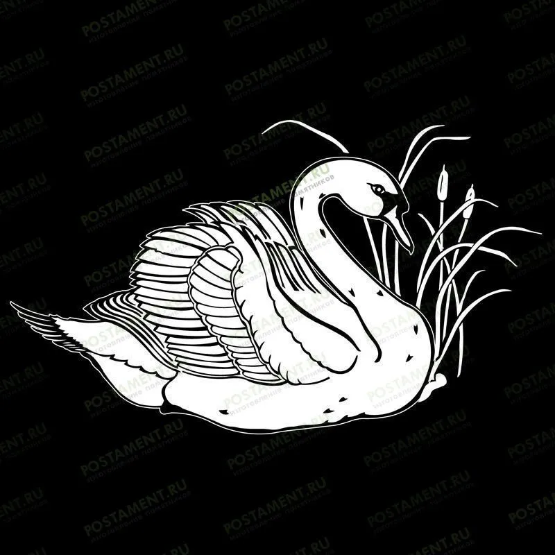 Гравировка лебедя на памятнике 91104