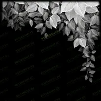 Веточка 95041