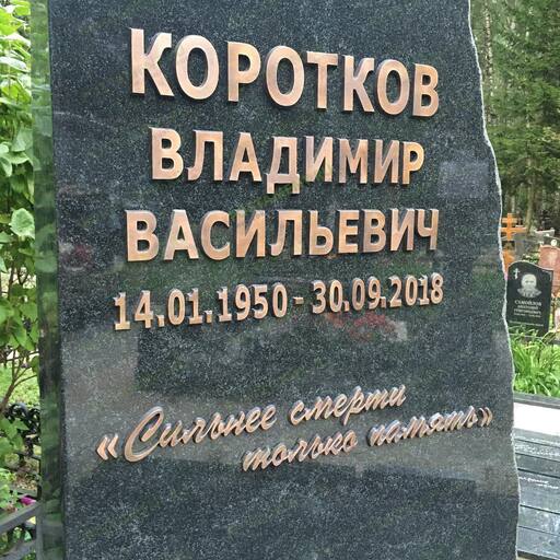 Бронзовые буквы на памятник 81934