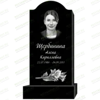 Рисунок 95315