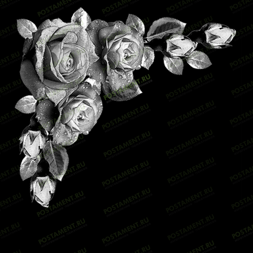 Виньетка с розами для украшения памятника