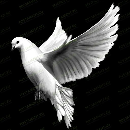 Изображение голубя на гранитном памятнике 91111