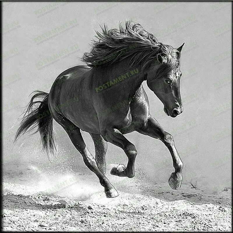 Изображение лошадь на гранитном памятнике 91135