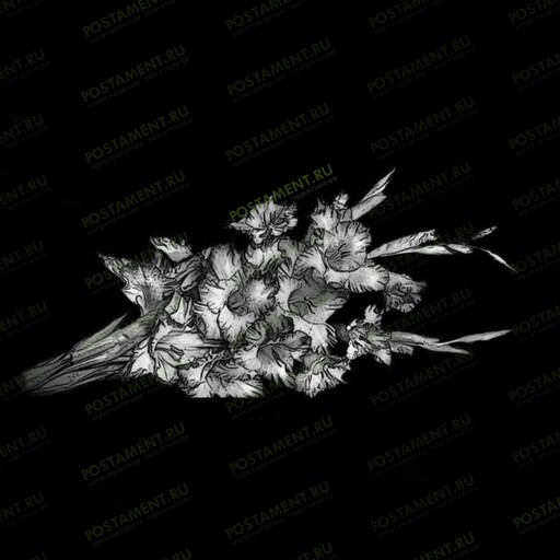 Гладиолусы для гравировки на памятник 91052