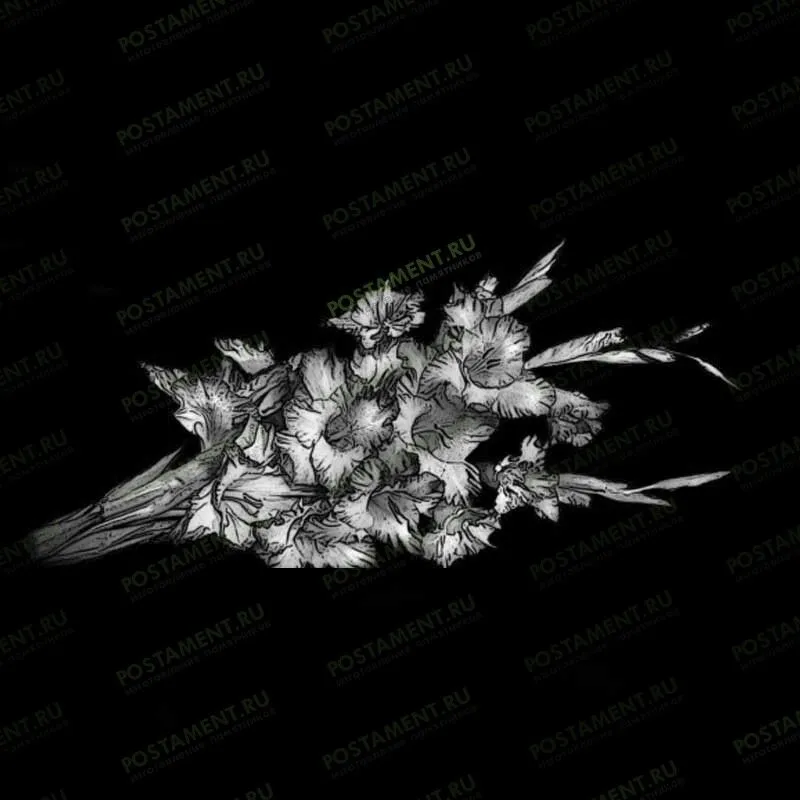 Гладиолусы для гравировки на памятник 91052