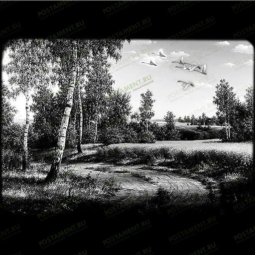 Лес с лебедями для нанесения на памятник