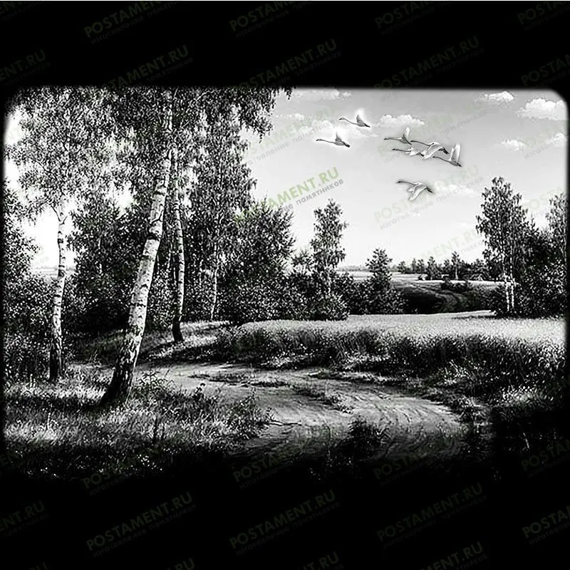 Лес с лебедями для нанесения на памятник