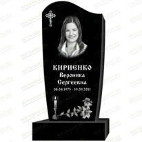 Рисунок 95335