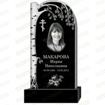 Рисунок 95342