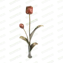 Тюльпаны 82025