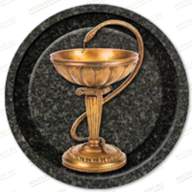 Значок медика на памятник Чаша со змеей