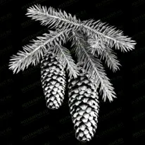 Ветка еловая 95048