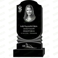 Рисунок 95339